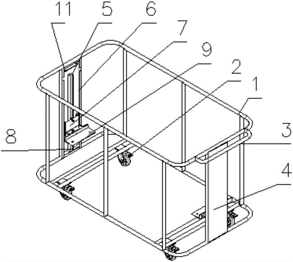 茶条槭多少钱一棵？茶条槭苗木繁殖技术有哪些？“三亿体育手机版”