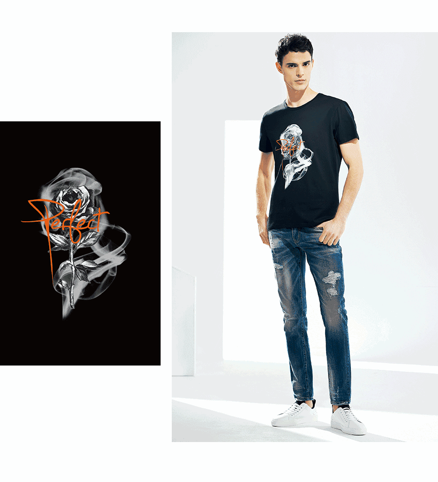 茶条槭多少钱一棵?茶条槭苗木繁殖技术有哪些?“三亿体育手机版”(图2) 三亿体育手机版