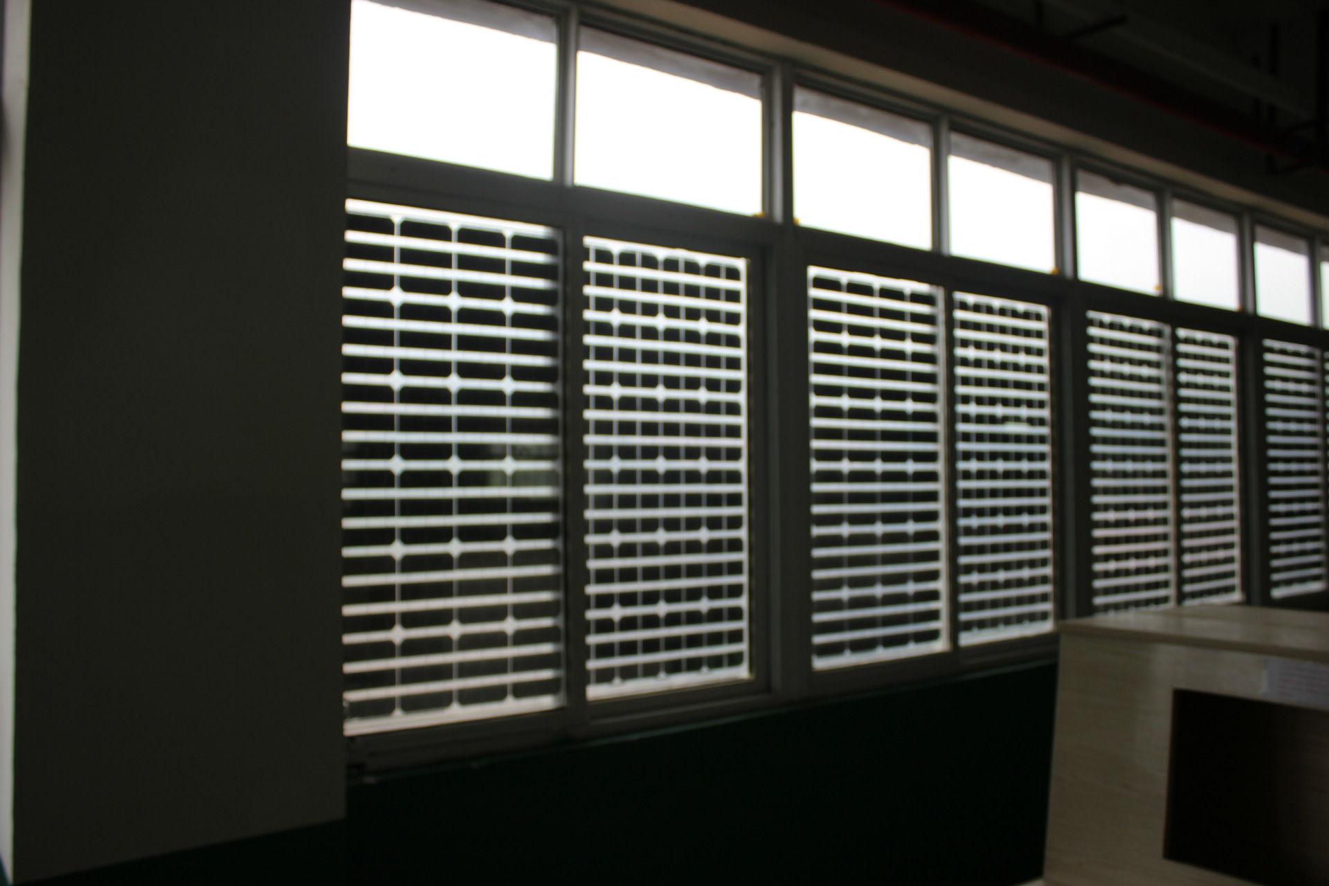 英国发现罕见“阴阳蝶” 左雄右雌体色诡异(图)‘三亿体育官网’(图2) 三亿体育