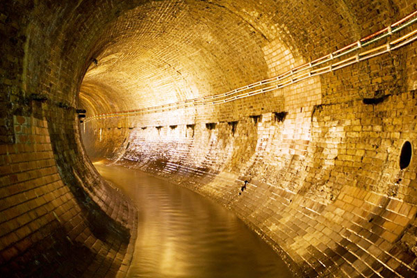 【三亿体育官网】沙捞越相思木占据72%,计划进一步扩大人工林种植面积(图4) 三亿体育