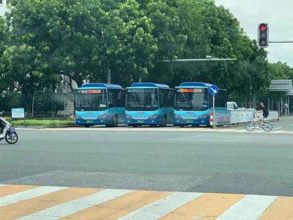 非洲红花梨原木行情火热交易上扬【三亿体育】(图2) 三亿体育手机版