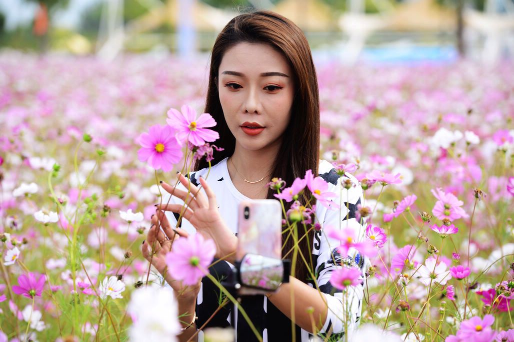 三亿体育官网：2014年木材市场分析和展望