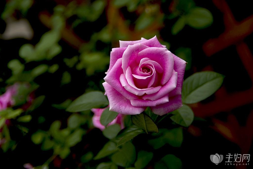 【三亿体育】关注新消费时代 消费者眼中的家具服务(图3) 三亿体育