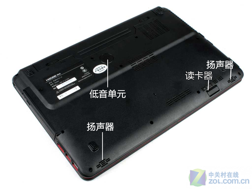 桤木价格多少钱一棵?桤木有哪些用途及优点?‘三亿体育’(图2) 三亿体育