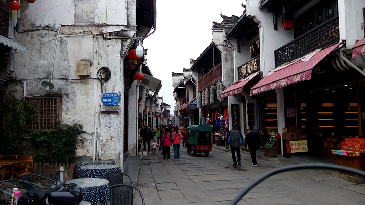 俄罗斯首张森林全景图将于2020年问世:三亿体育(图2) 三亿体育官网