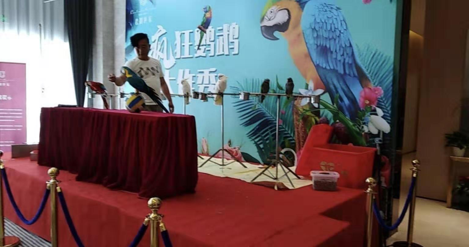 “三亿体育手机版”红木家具第一镇调查:暴跌只是传说(图3) 三亿体育