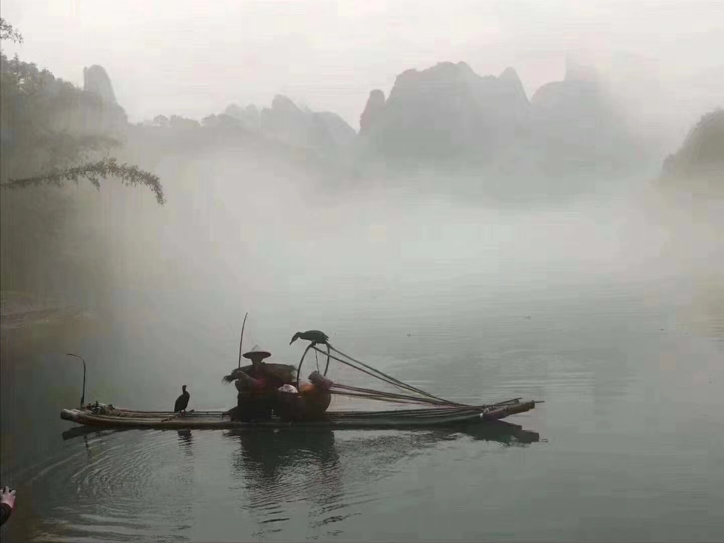 苹果蕉价格多少钱一斤?在什么季节定植最适宜?“三亿体育手机版”(图2) 三亿体育手机版