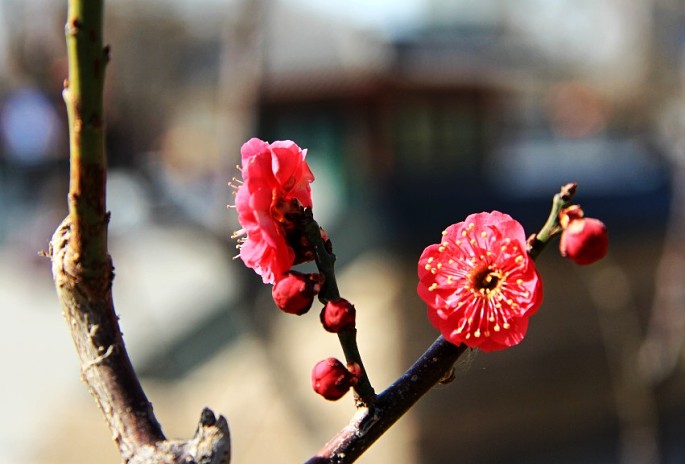 “三亿体育”希腊南部近海发生5.6级地震 距首都雅典137公里(图3) 三亿体育手机版