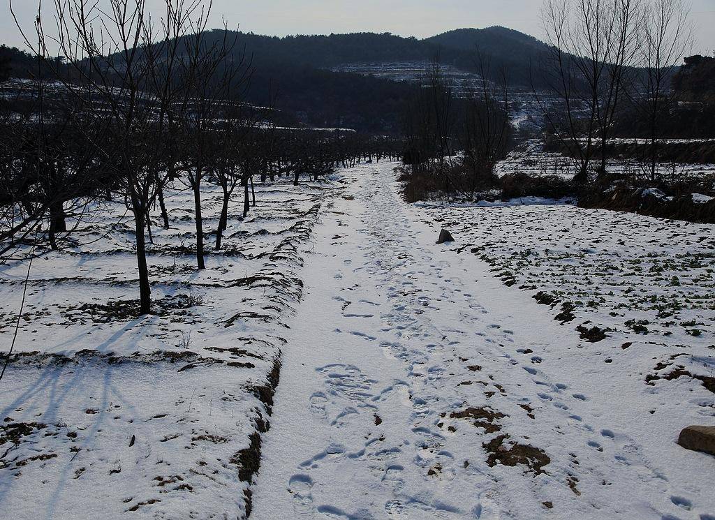 三亿体育官网-
拉尼娜来袭 今年冬天有多冷？官方解答来了：要做好农业防寒措施