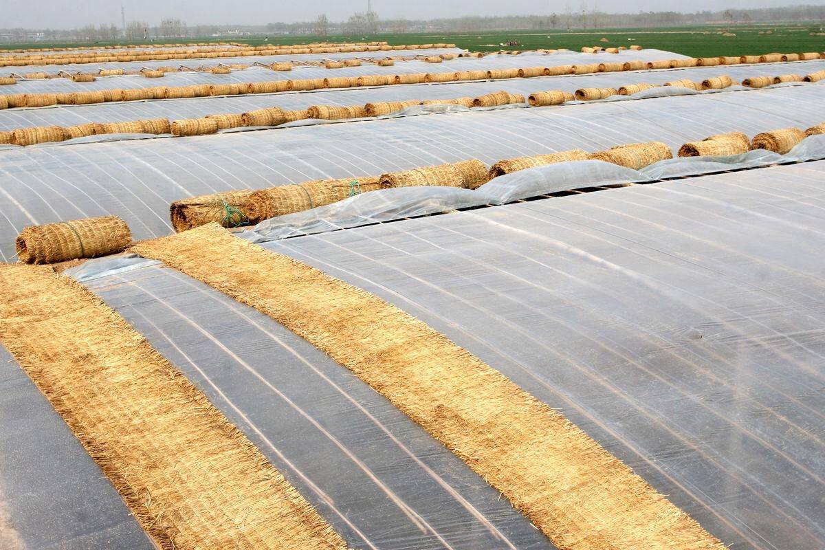 三亿体育官网-
拉尼娜来袭 今年冬天有多冷？官方解答来了：要做好农业防寒措施(图6)