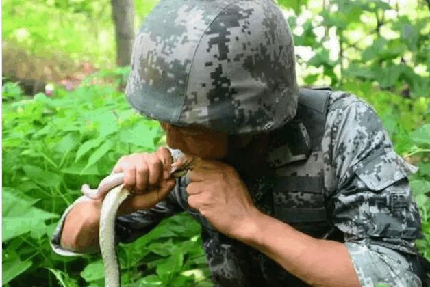 三亿体育手机版