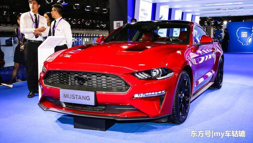 合欢树功能多样大苗走量大价格高|三亿体育手机版