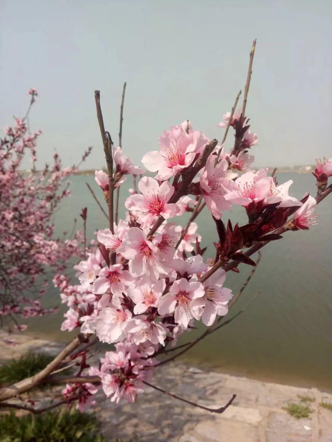 三亿体育手机版