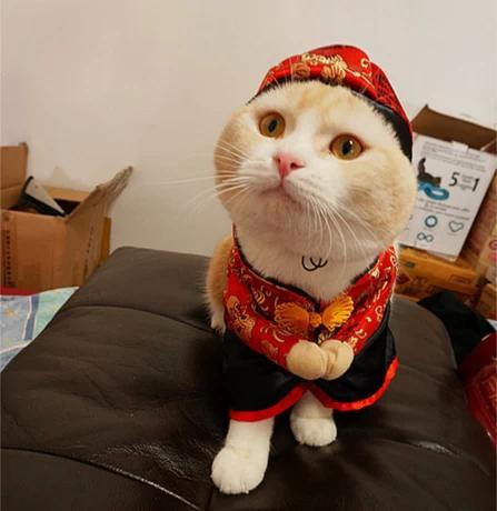 3.15：家装建材仍是消费者投诉的“重灾区”|三亿体育