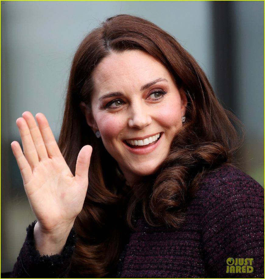 三亿体育官网-种植油茶有补贴吗?补贴多少?如何申请?(图3) 三亿体育手机版