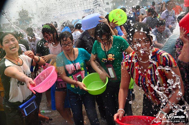 三亿体育官网-种植油茶有补贴吗?补贴多少?如何申请?(图1) 三亿体育