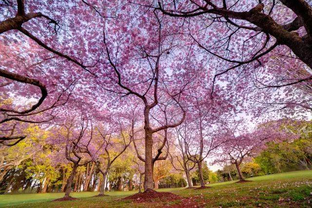 三亿体育手机版