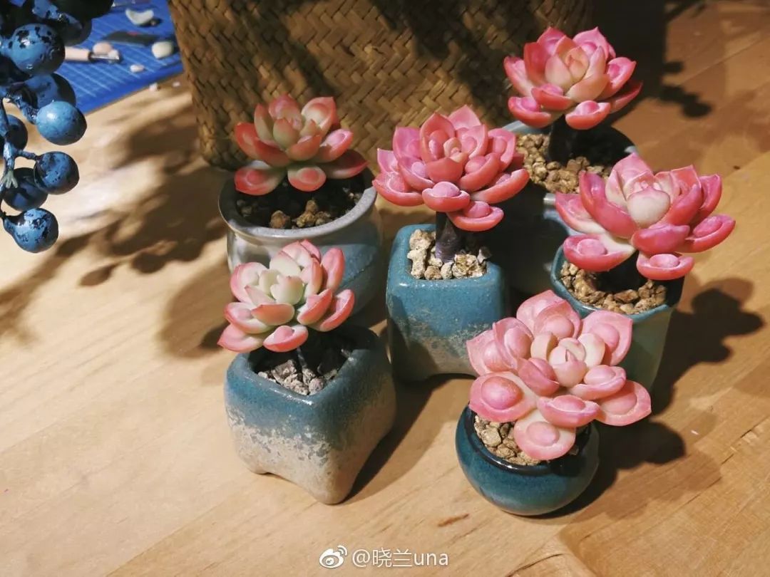 三亿体育手机版