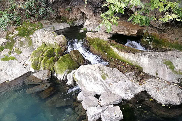 河北将与加拿大合作推广现代木结构建筑技术：三亿体育官网