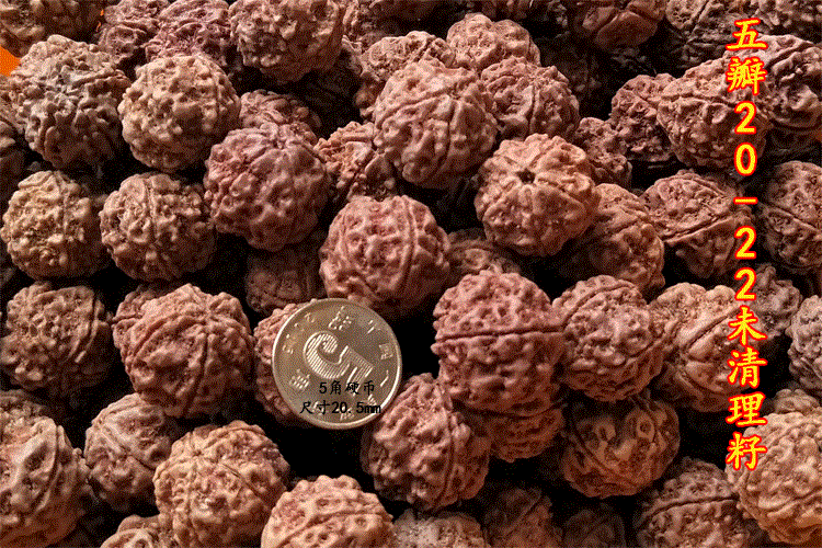 法国警犬反恐殉职将获英“动物英雄”最高奖勋章‘三亿体育官网’