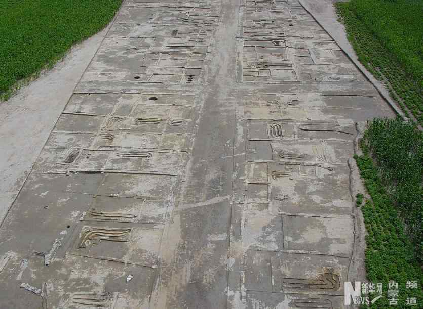 球茎茴香有哪些品种？怎么选种育苗？【三亿体育】